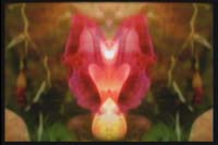 000145