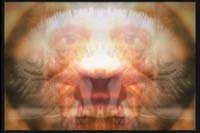 0002