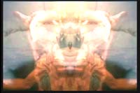 00045